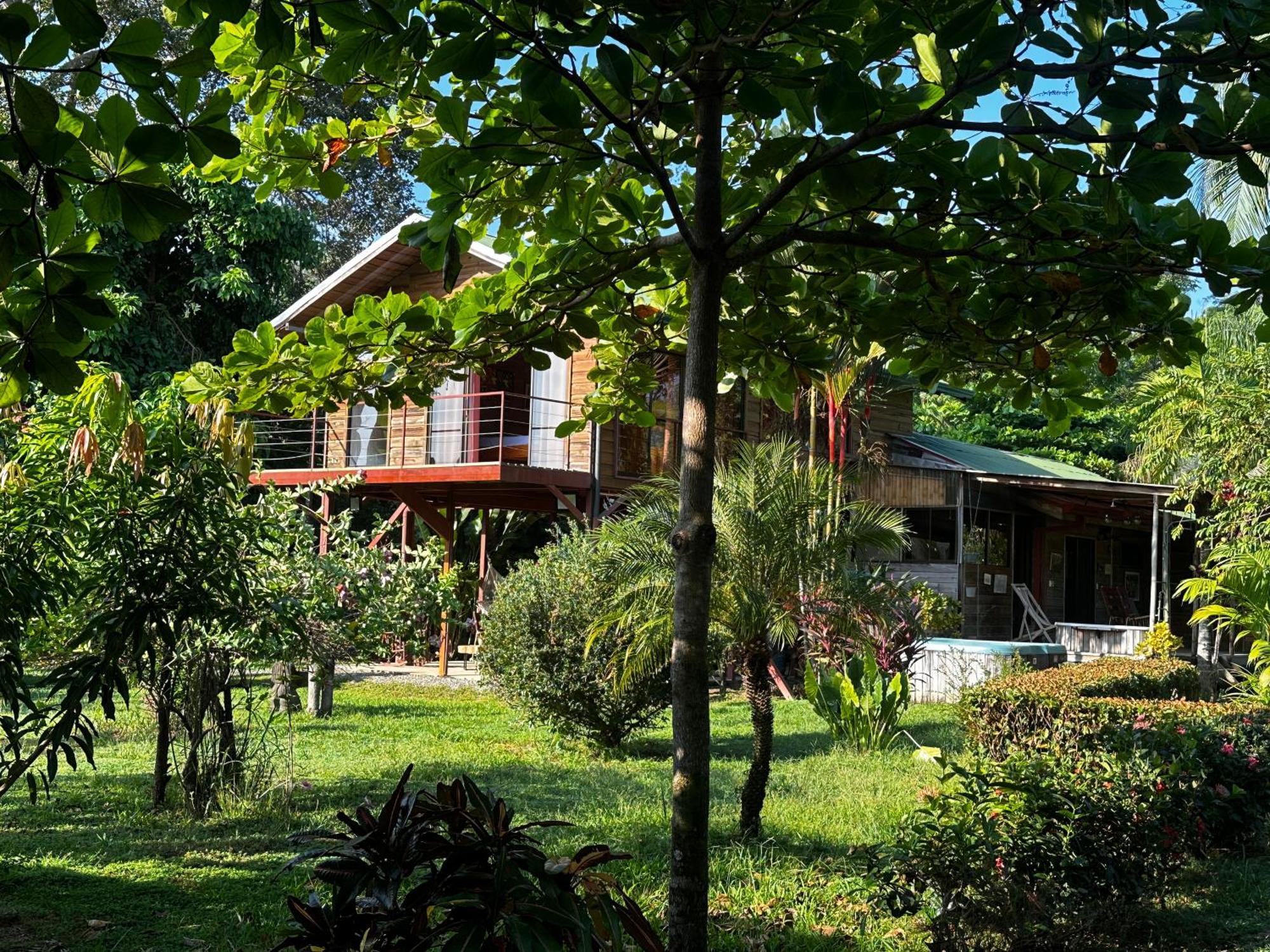 Uvita Oasis Retreat With Villa Cabins And Apartment Exteriér fotografie
