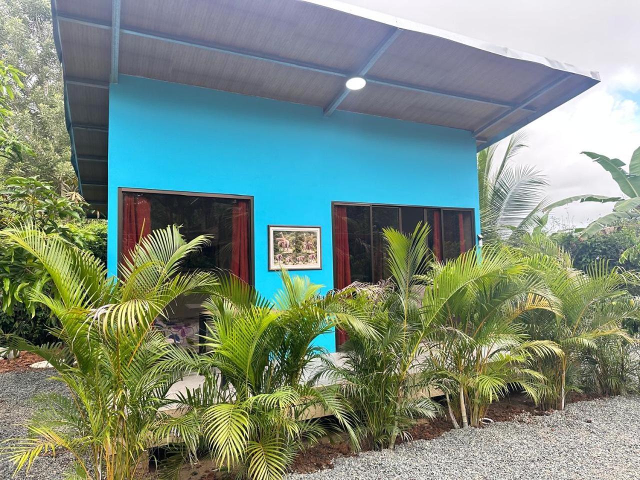 Uvita Oasis Retreat With Villa Cabins And Apartment Exteriér fotografie