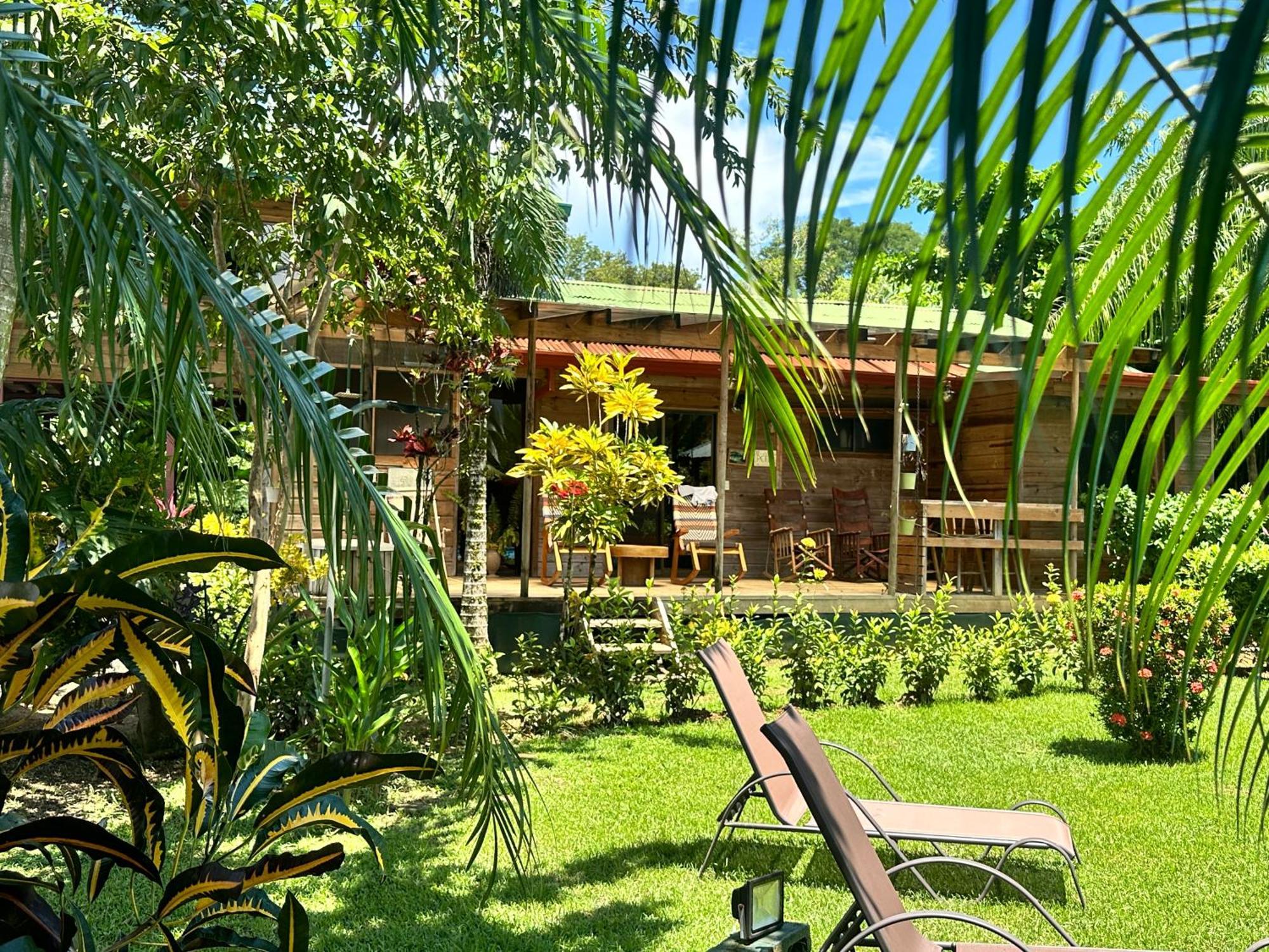 Uvita Oasis Retreat With Villa Cabins And Apartment Exteriér fotografie