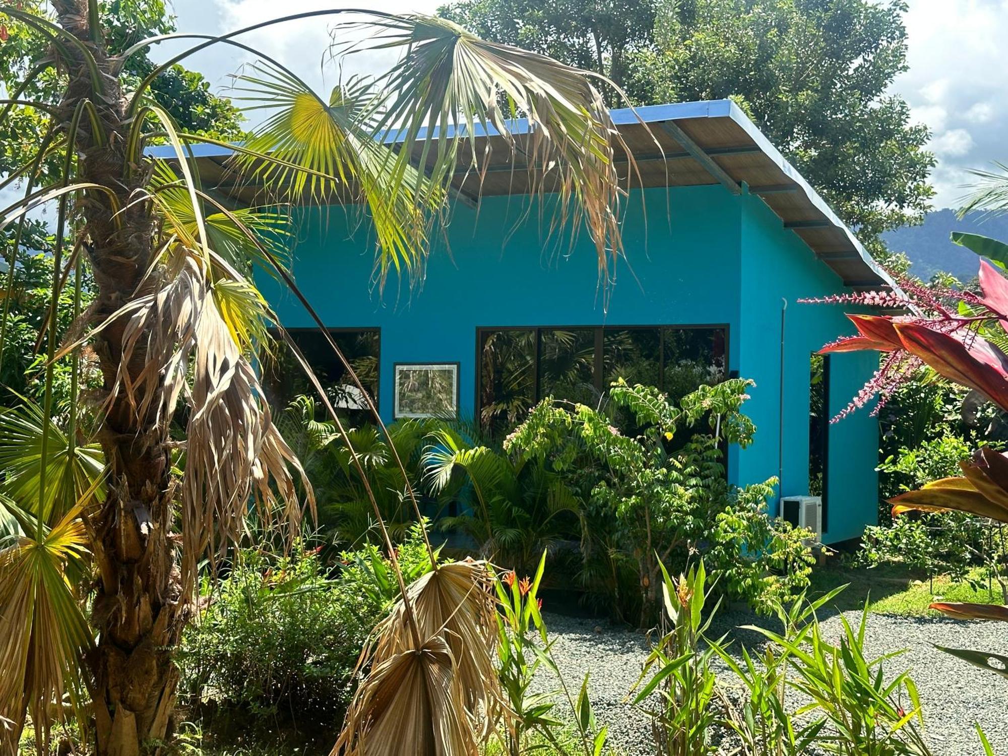 Uvita Oasis Retreat With Villa Cabins And Apartment Exteriér fotografie