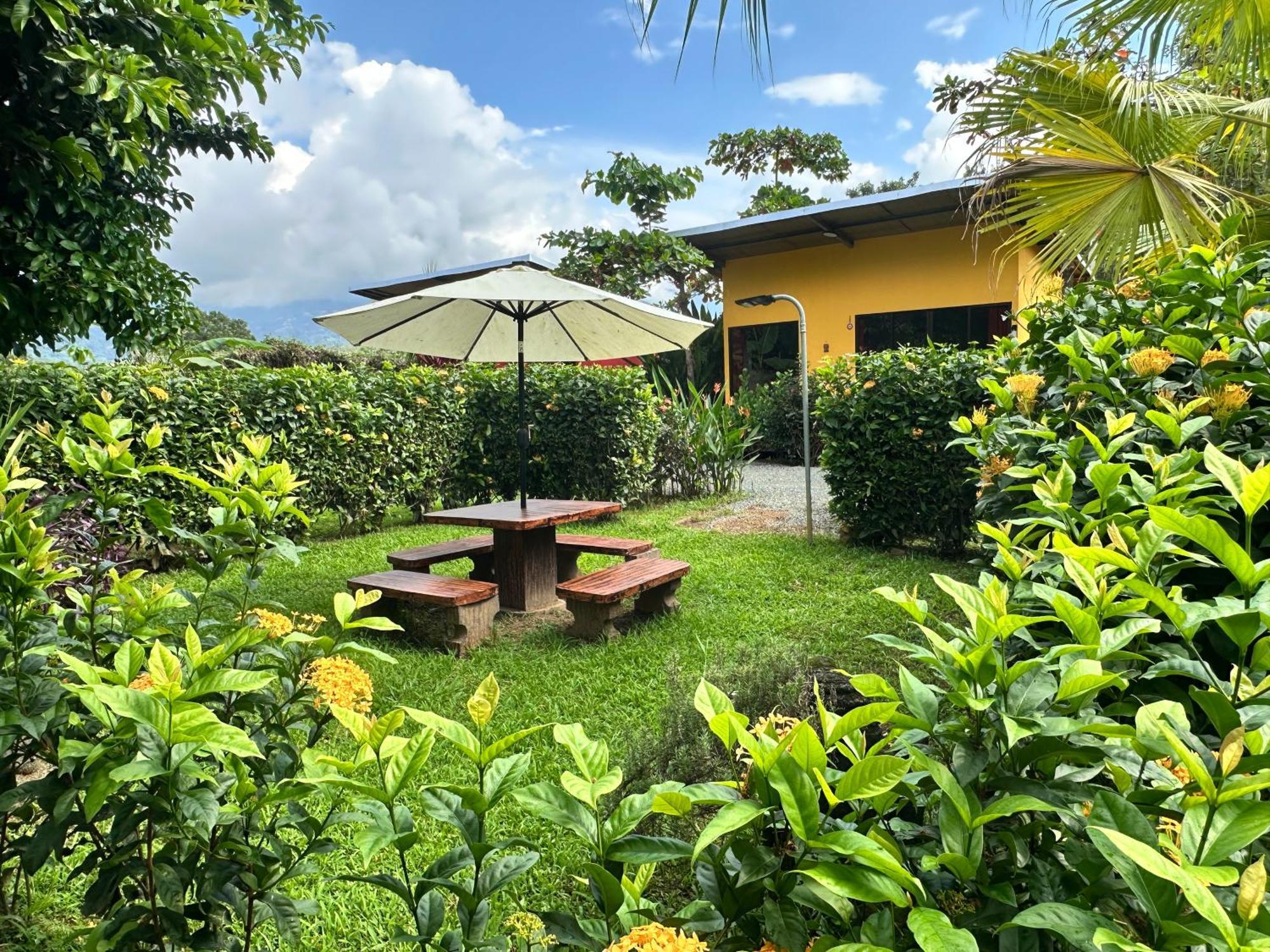 Uvita Oasis Retreat With Villa Cabins And Apartment Exteriér fotografie