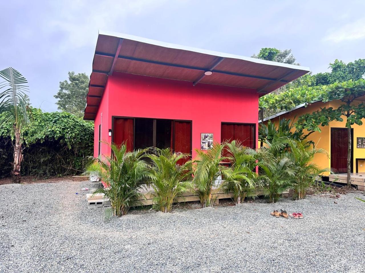 Uvita Oasis Retreat With Villa Cabins And Apartment Exteriér fotografie